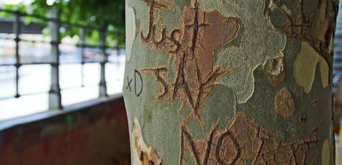 Die Worte „Just Say No” sind in einen Baumstamm geritzt