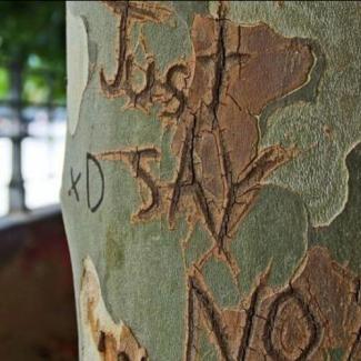 Die Worte „Just Say No” sind in einen Baumstamm geritzt